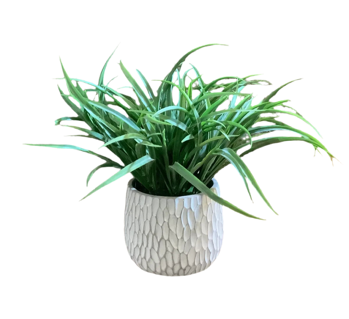 GRASS IN GRAY POT