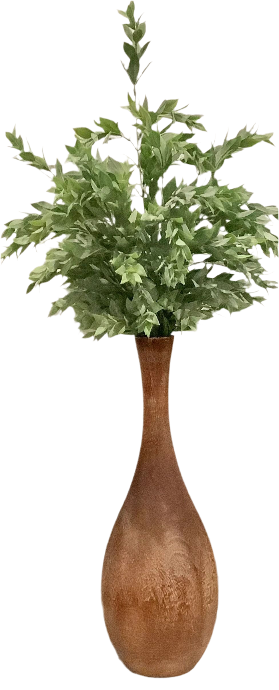 RAINWASHED LEAVES STEM