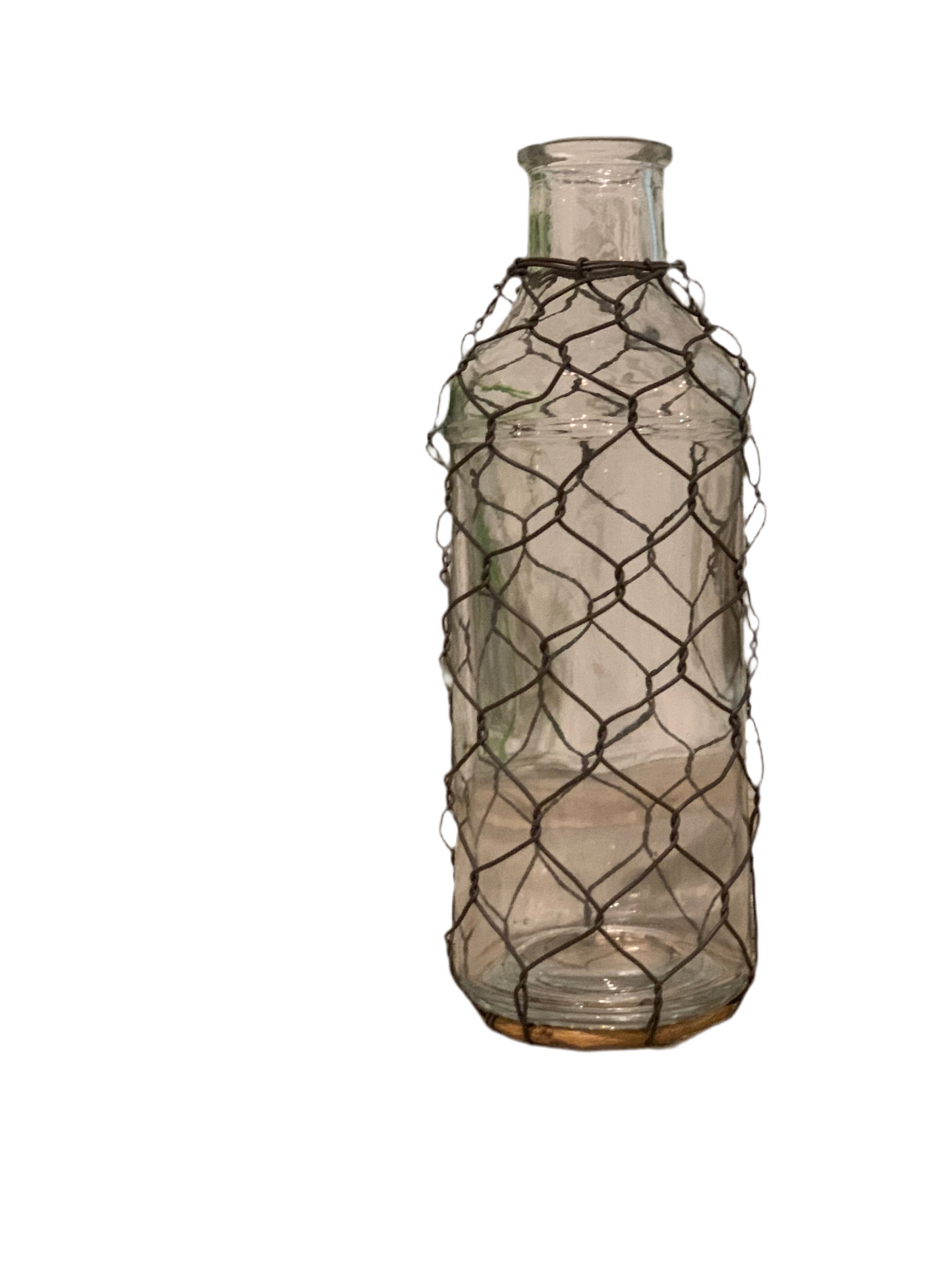 CHICKEN WIRE GLASS VASE